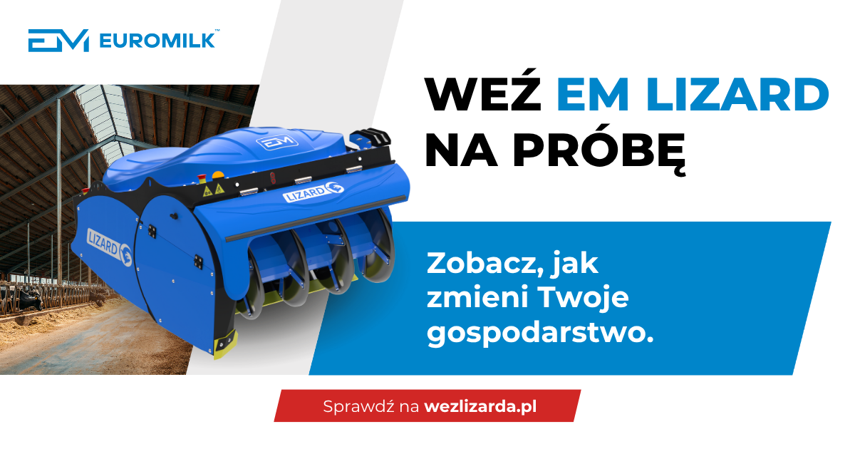 zdjecie ilustracyjne