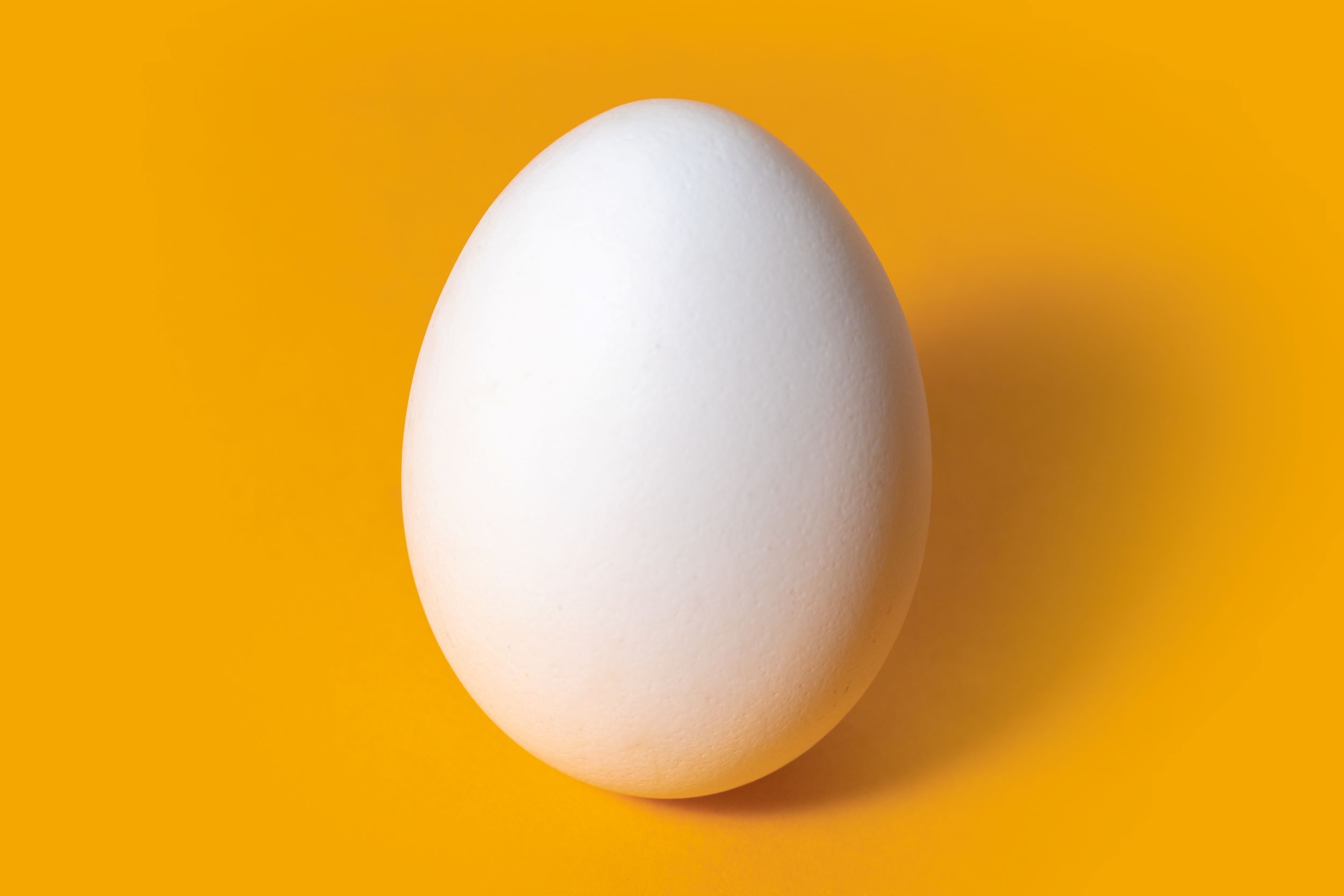 AdobeStock 389067245