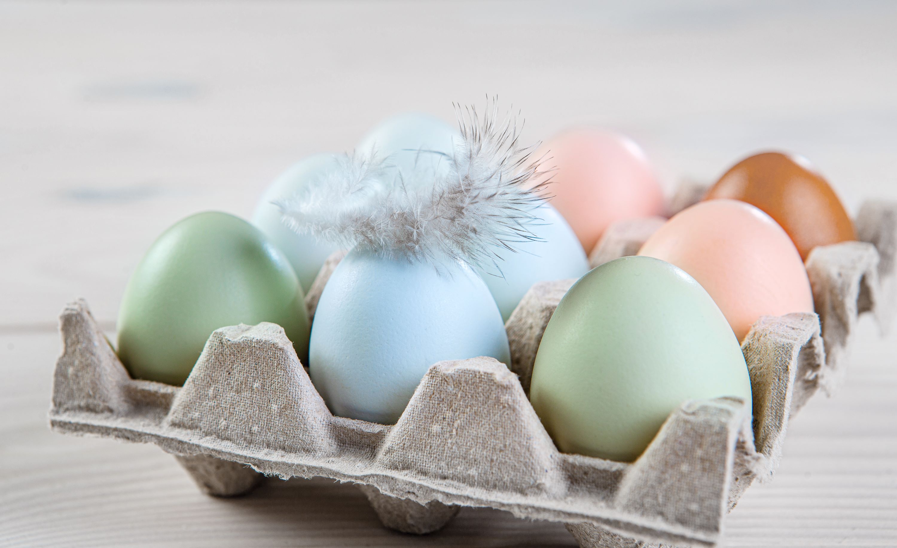 AdobeStock 422501118