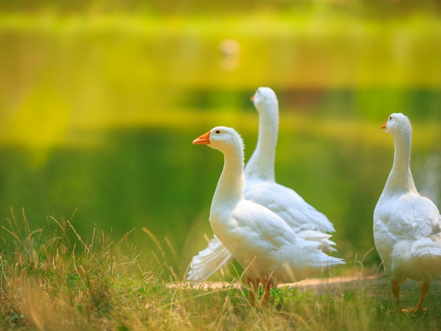 AdobeStock 212788311