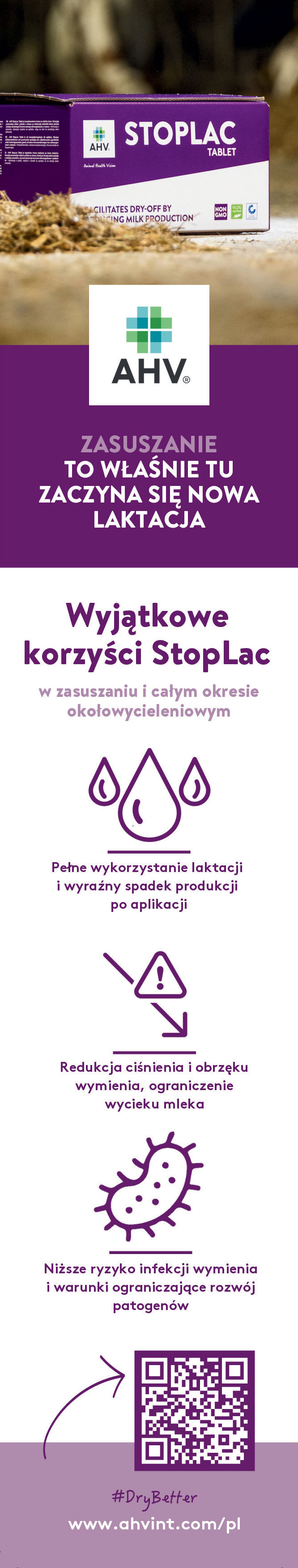 Zasuszanie