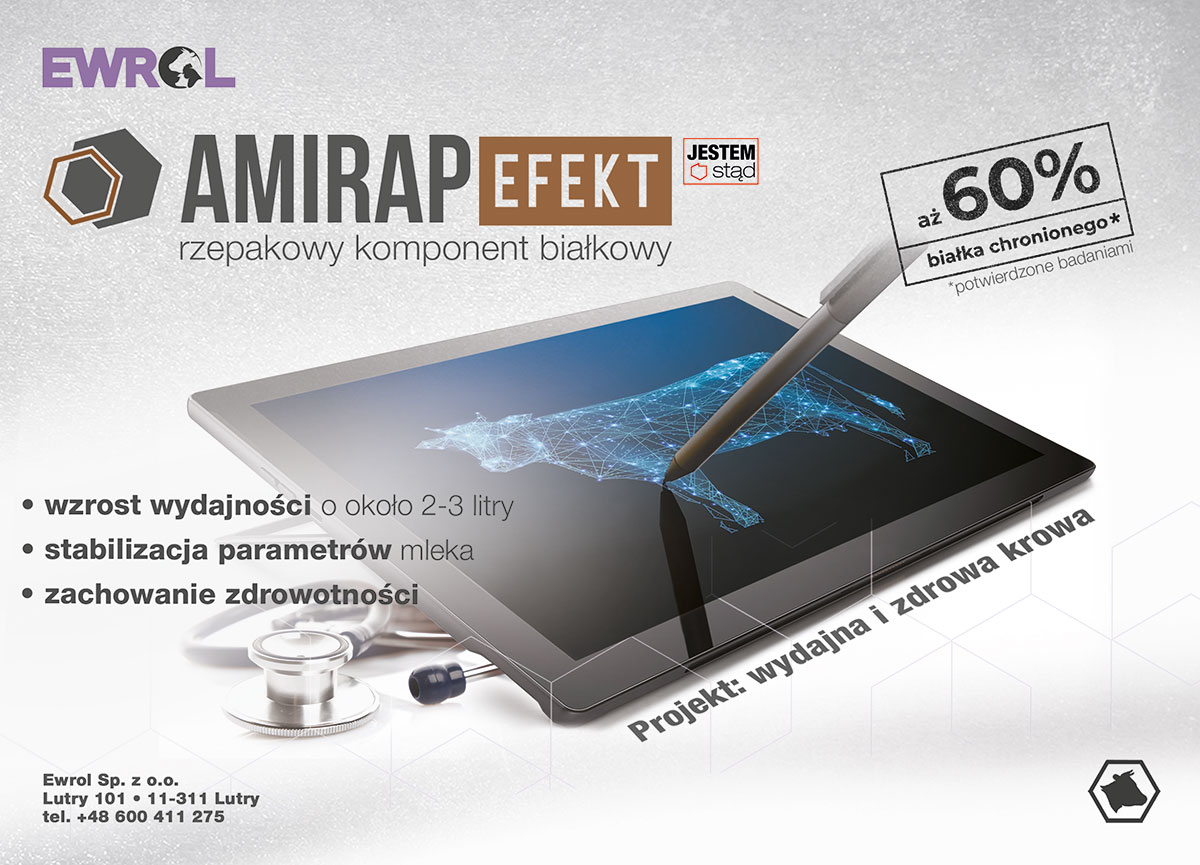 Amirap Efekt 202x144 spad