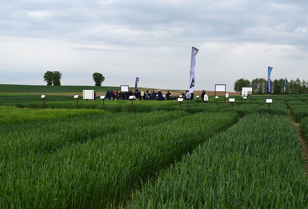 agrolok12