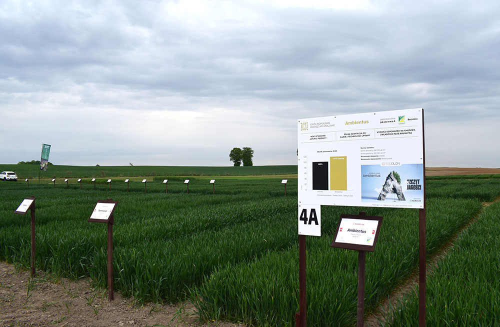agrolok17
