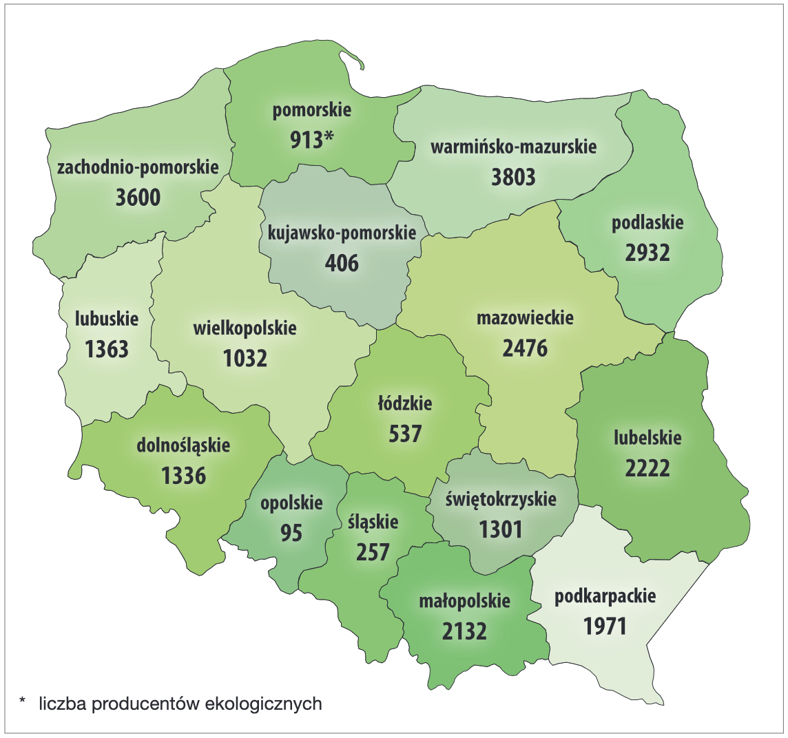 Zrzut ekranu 2024 08 21 o 111812