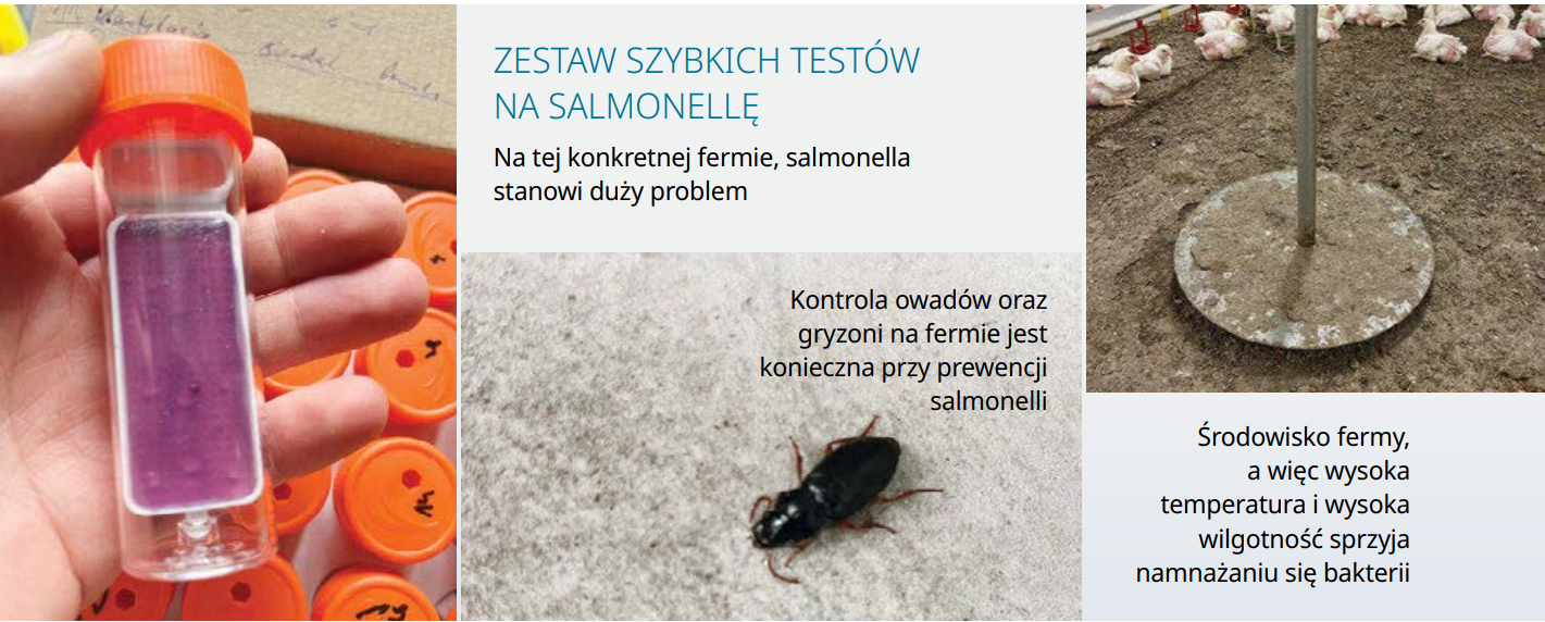 Zrzut ekranu 2024 09 24 104229