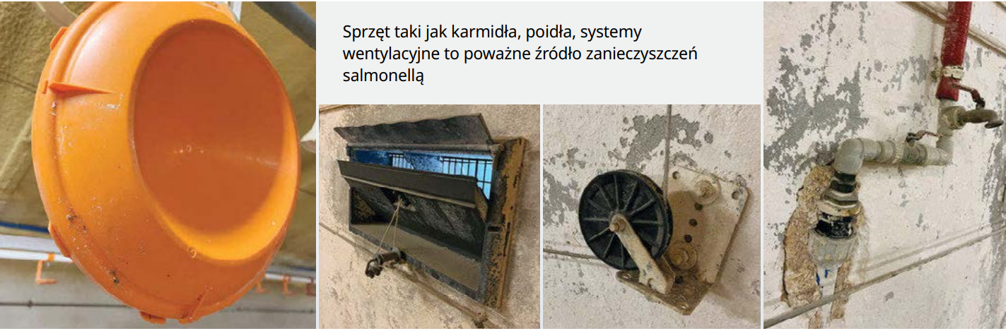 Zrzut ekranu 2024 09 24 104243