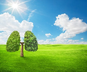Environment clean air web