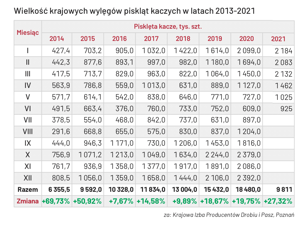 Wstawienia kaczki