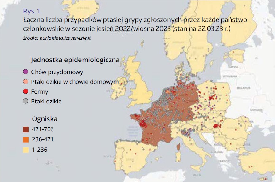 ptasia grypa UE marzec2023