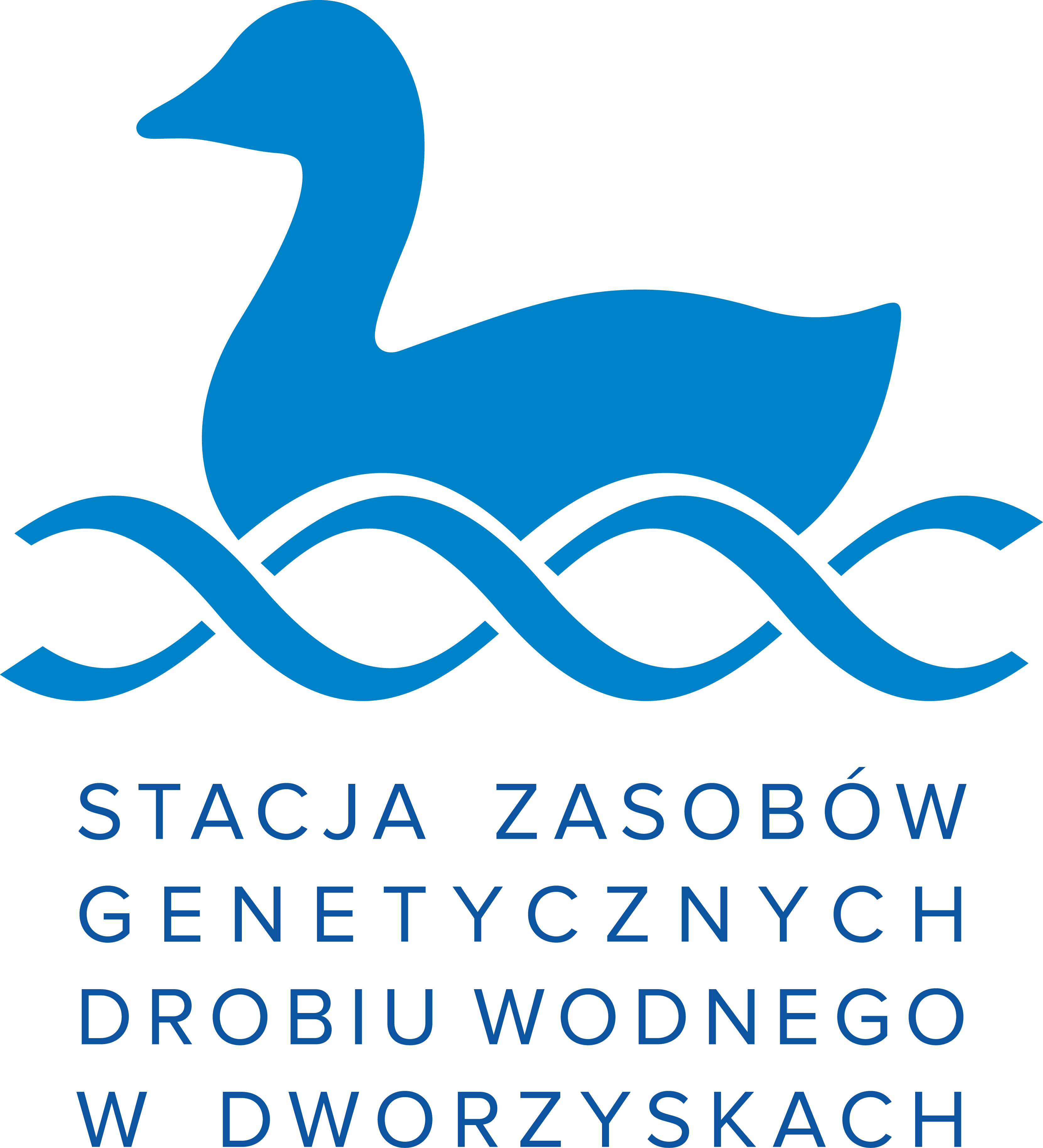 dworzyska logo